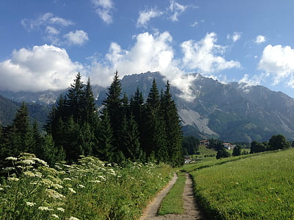 ramsau, dachstein, trail, spring, meadow, trees, mountains HD wallpaper