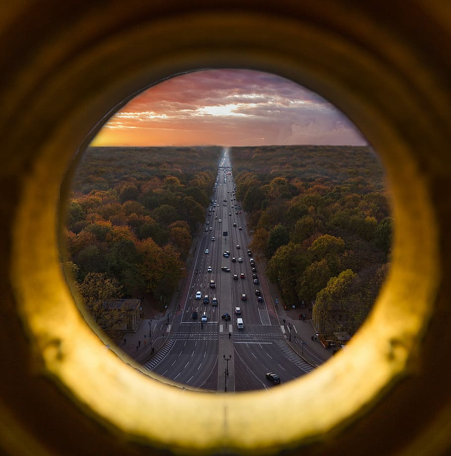 Perched Above the Chaos., window view photography of road surrounded by trees HD wallpaper