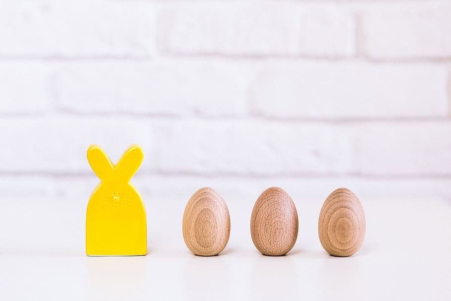 bunny, toy, eggs, studio shot, no people, indoors, in a row HD wallpaper