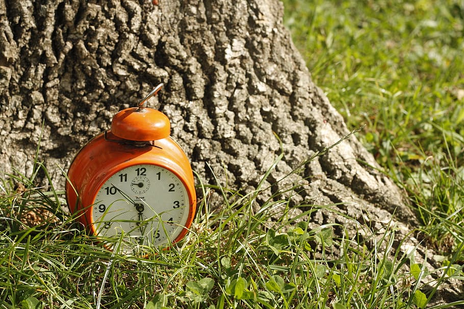clock, grass, orange, wood, time, alarm, nature, green, hour HD wallpaper