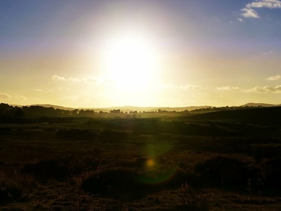 sunny, sunset, sky, wales, green, blue, yellow, orange, tree HD wallpaper
