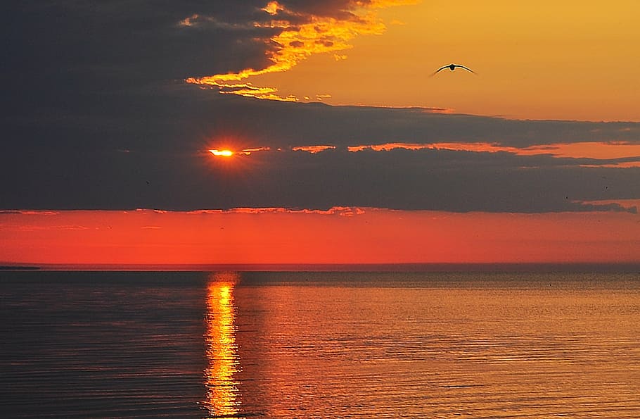 sunset, clouds, sky, sunset sky, orange, light, evening, yellow HD wallpaper