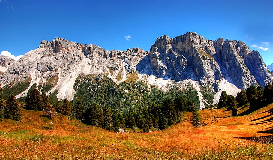 green leafed trees behind moutain, Dolomites, Mountains, Italy
