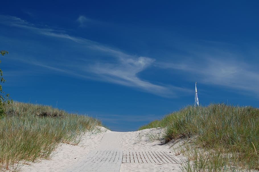 beach, sand, oland, holiday, summer, dunes, himmel, path, the way forward, HD wallpaper