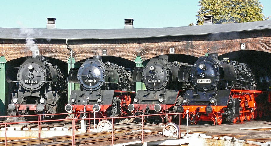 steam locomotive, locomotive shed, hub, staßfurt, freight locomotives