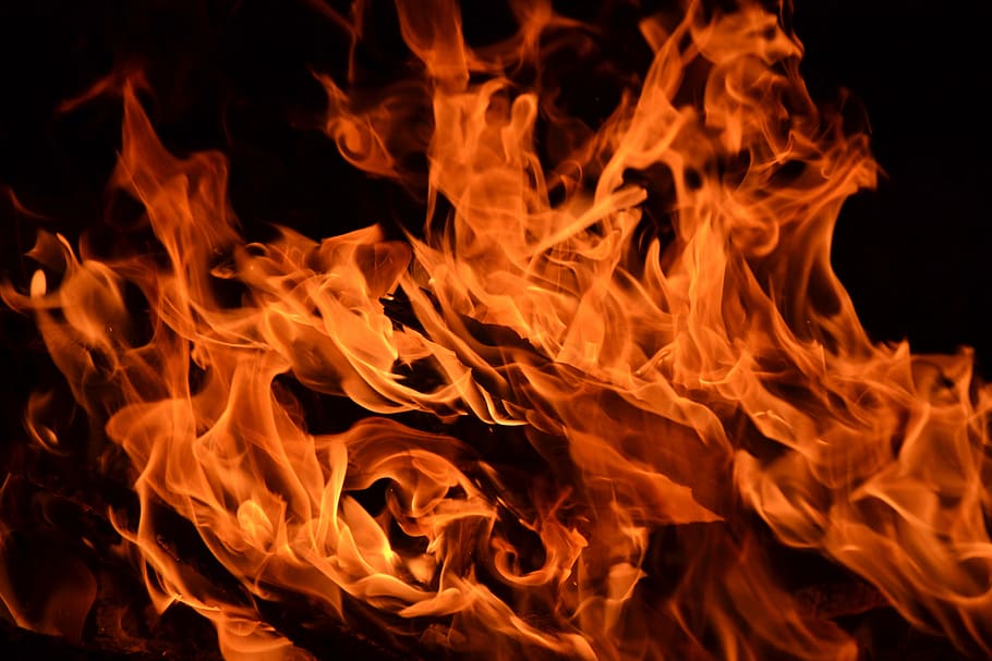 fire illustration, flame, embers, flame log fire, burn, campfire HD wallpaper