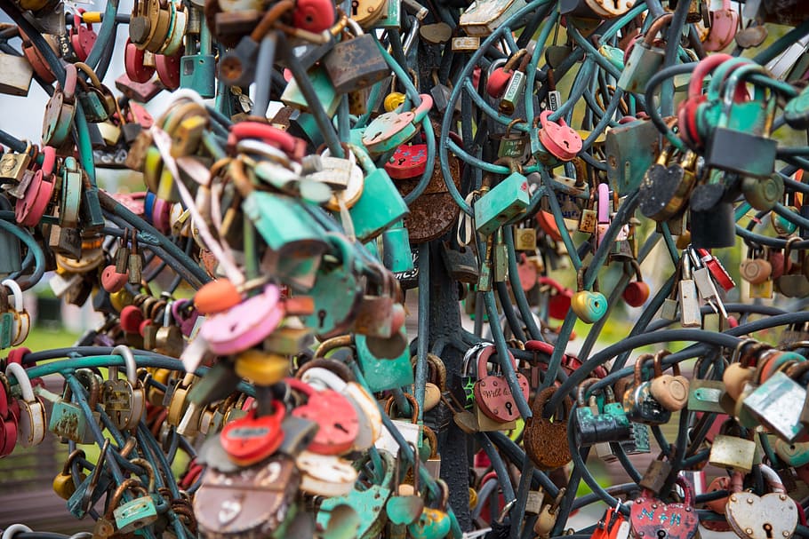padlock, tree, wedding, love, symbol, castle tree, multicolor HD wallpaper