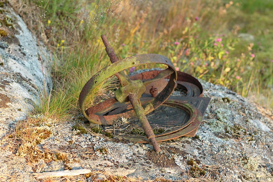 rusty, debris, scrap iron, bargain, wheel, old, animal themes HD wallpaper
