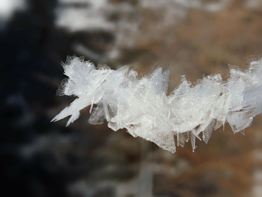 crystals, snow, winter, white, cold, wintry, snow magic, ice crystal, HD wallpaper
