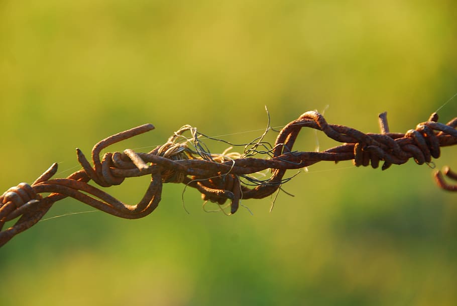 barbed wire, rusty, stainless, wiring, barbed wire fence, caution HD wallpaper