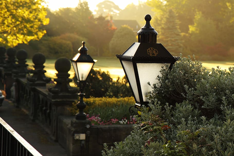 black lamp post near green plants, classic, decoration, decorative HD wallpaper