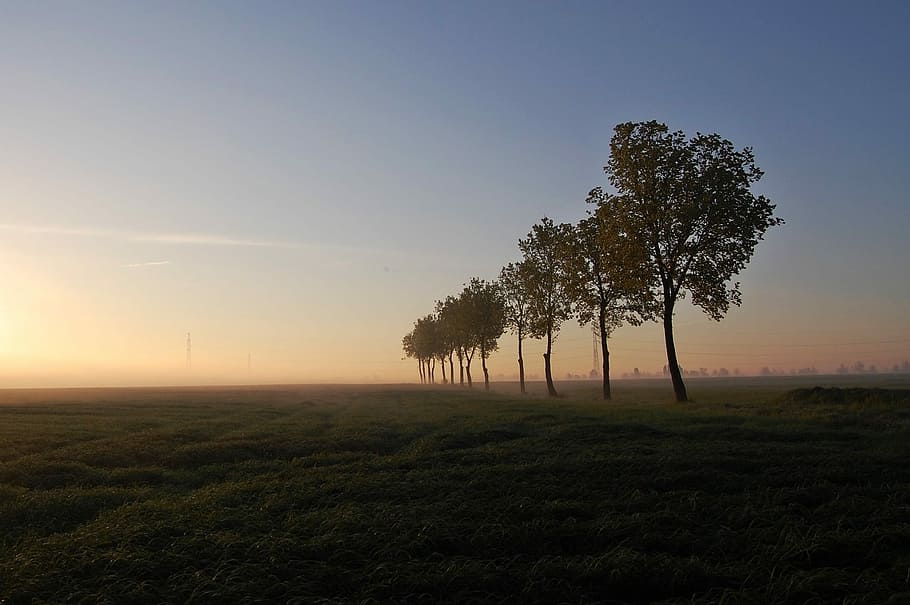 sunset, nature, dawn, landscape, sky, plant, tree, tranquil scene HD wallpaper