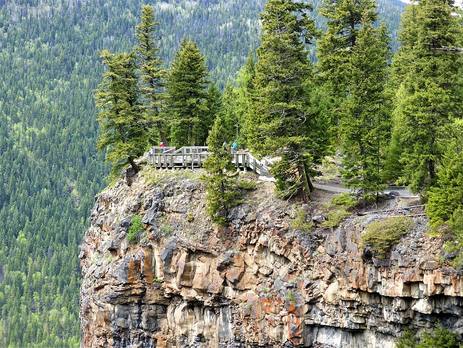 nature, view, height, viewpoint, rock, abyss, trees, national park HD wallpaper