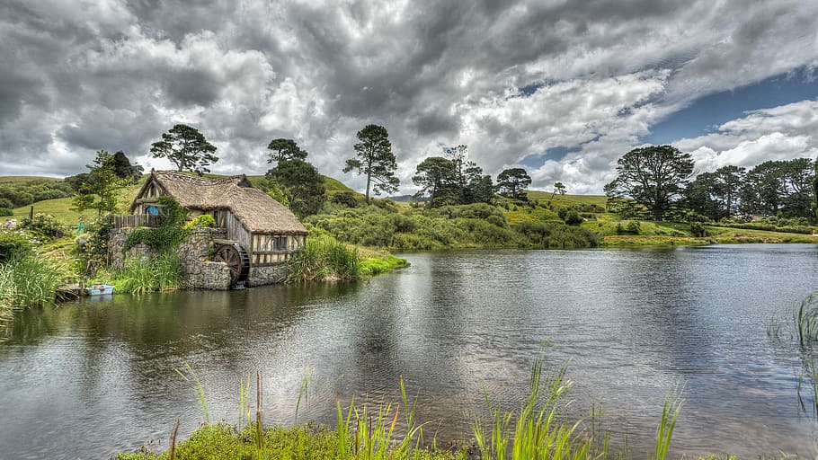 house beside body of water, brown wooden house with lake, water front HD wallpaper