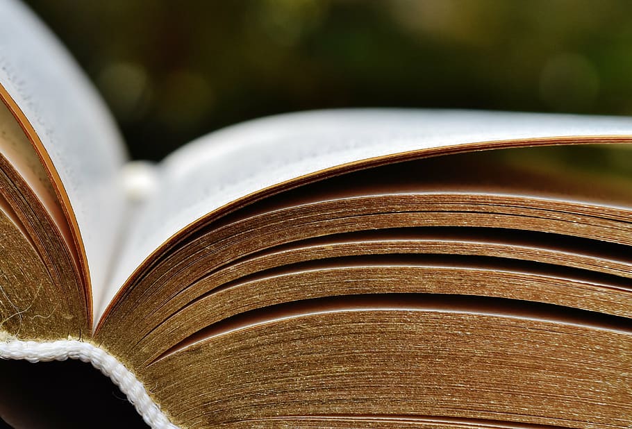 selective focus photography of opened book, pitched, book pages, HD wallpaper