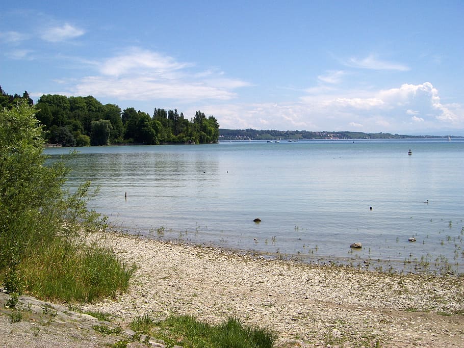 waters, nature, sky, summer, landscape, lake constance, plant HD wallpaper