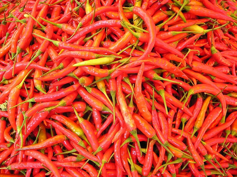 red chili lot, chilli pepper, sharp, spices, laos, hot, southeast HD wallpaper