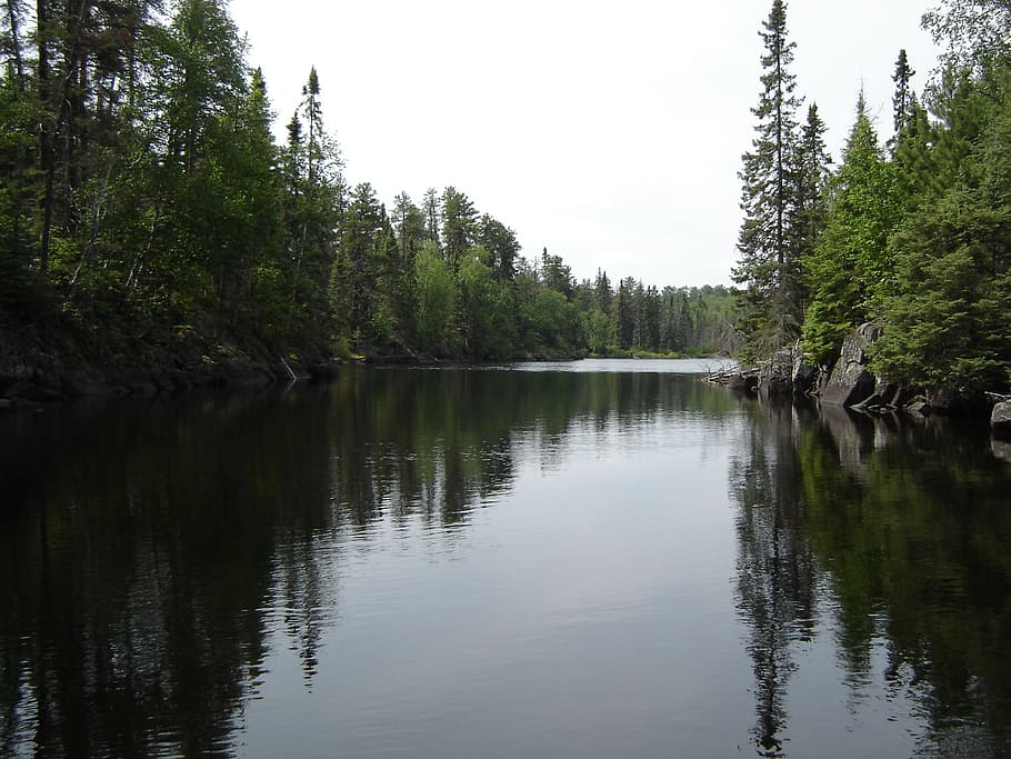 calm lake surrounded with trees at daytime, Forest, Landscape HD wallpaper
