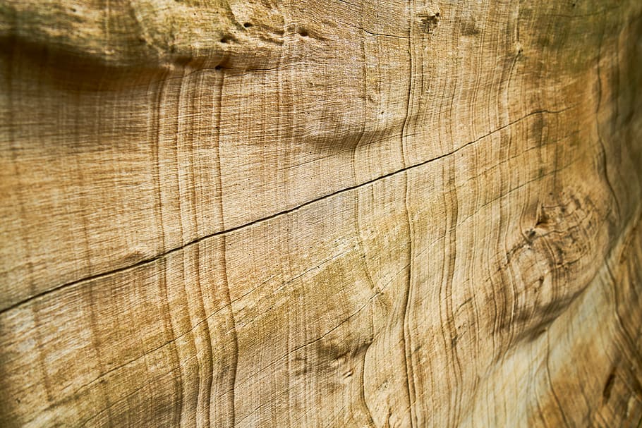 wood, texture, pattern, brown, macro, detail, old, wood-fibre boards HD wallpaper