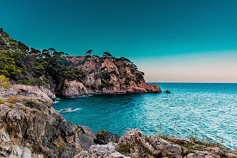 green trees covered island, landscape of seashore under blue sky HD wallpaper