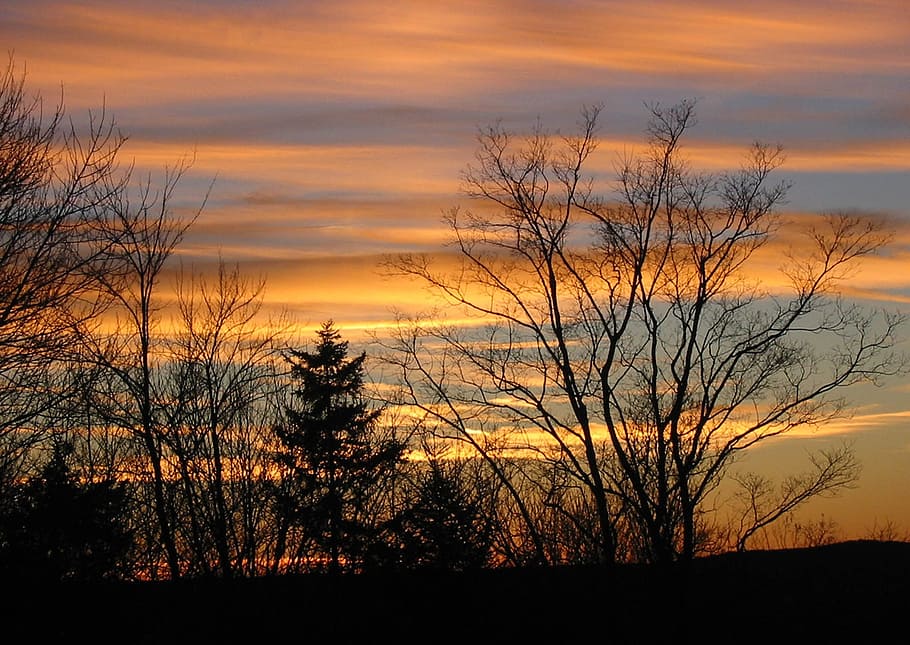 sunset, winter, outdoor, landscape, tree, forest, sunset background HD wallpaper