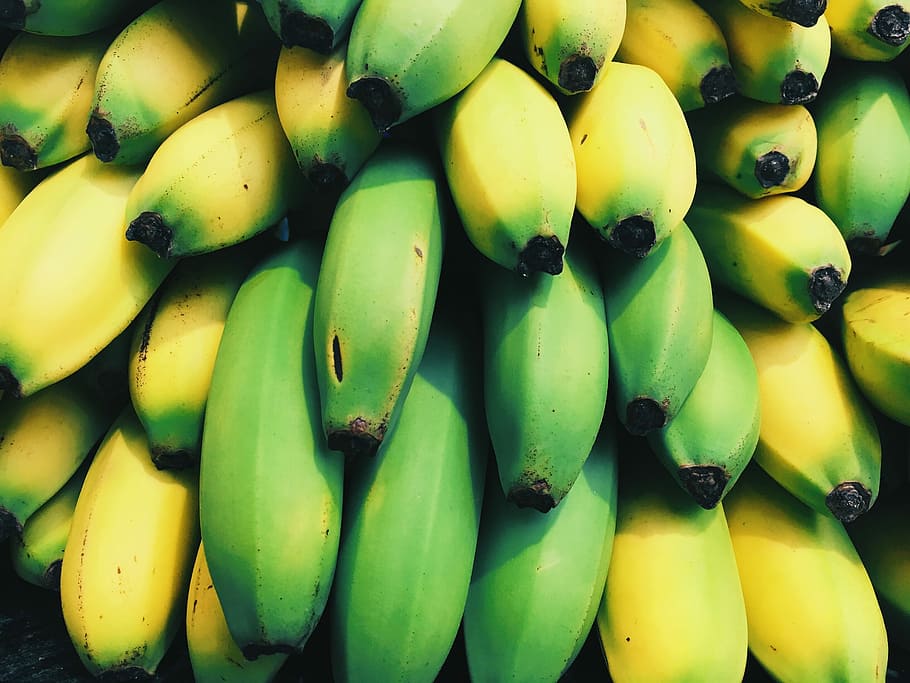 Bananas, exotic, fruit, green, yellow, food, freshness, ripe, HD wallpaper