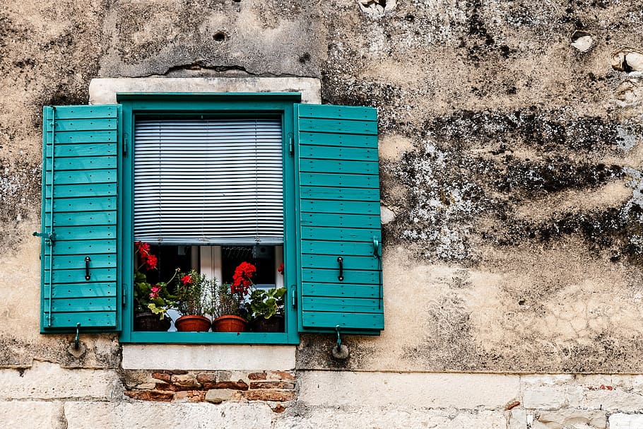 blue wooden window with red flowers, travel, cruise, vacation, HD wallpaper