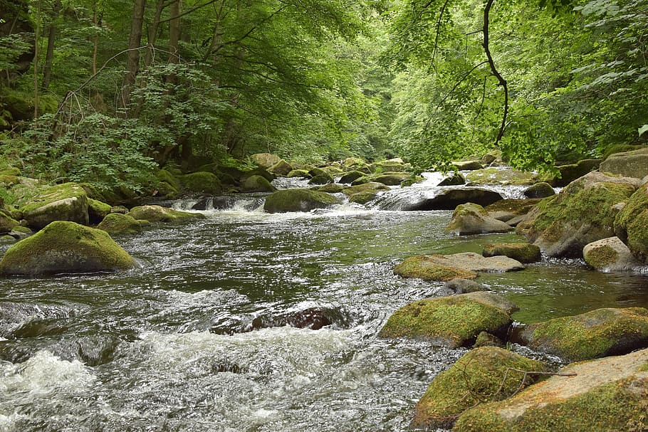 Bode, River, Water, Stones, Idyllic, mood, forest, trees, green HD wallpaper