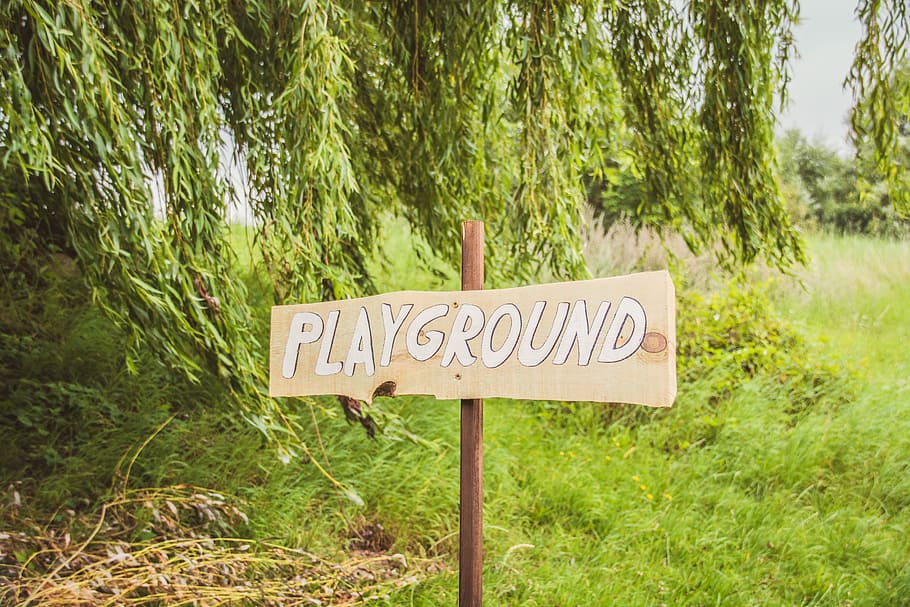 playground signage beside green leaf tree, playground signage HD wallpaper