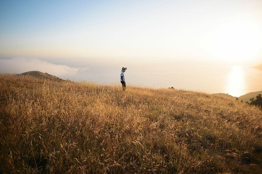 person standing on grass field on hill during daytime, nature HD wallpaper