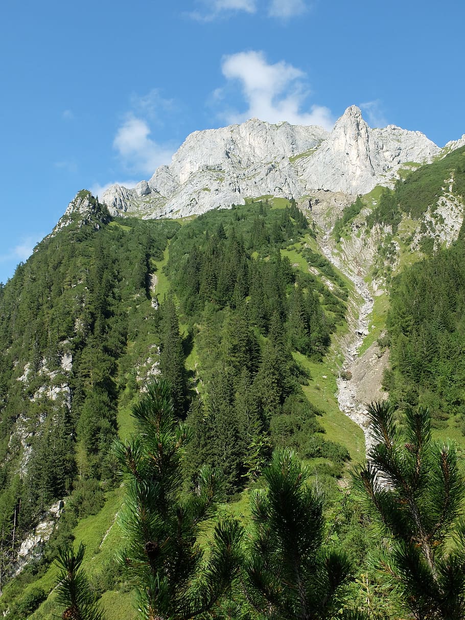 mountain, nature, sky, path, stunning, plant, beauty in nature HD wallpaper