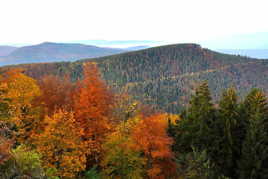 landscape, mountains, autumn, fall, seasons, valley, sky, forest HD wallpaper