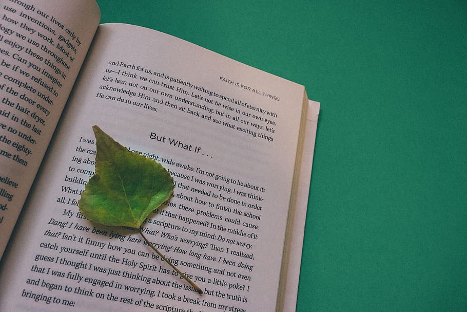 green leaf on book, open book, mind, renew, black and white HD wallpaper