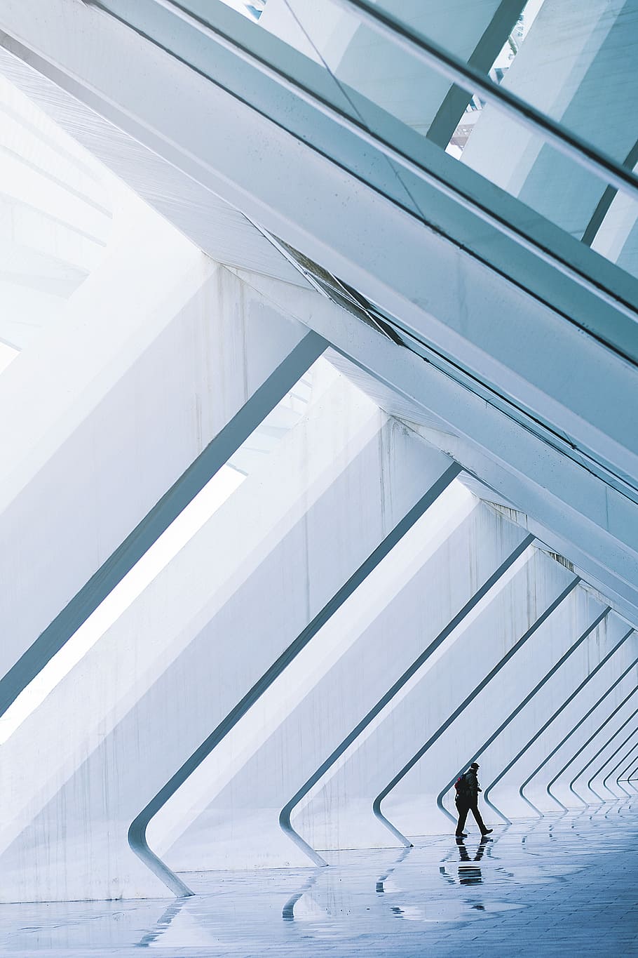 person walking inside glass building, man standing near slanting walls HD wallpaper