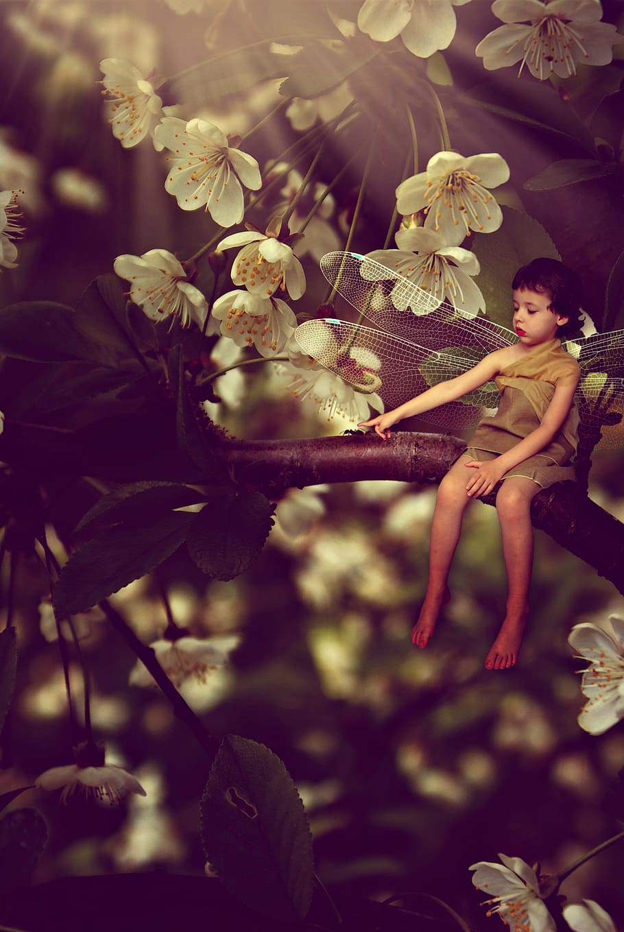 fairy perched on flower branch, boy, flowers, fantasy, bug HD wallpaper