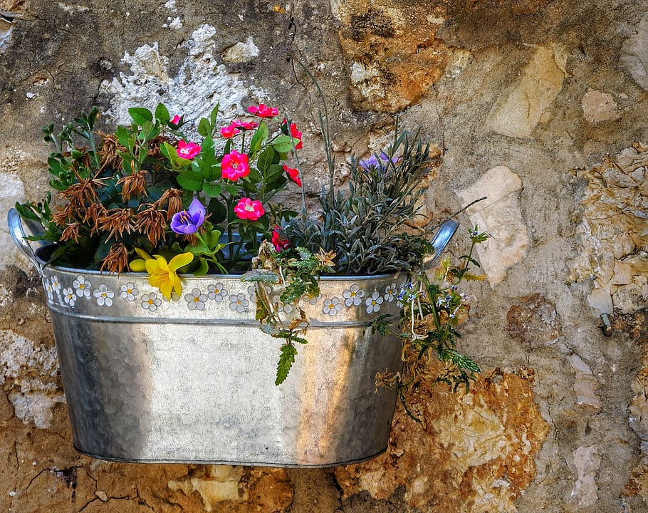 wall, planter, mixed, flower, pot, flora, nature, garden, decoration