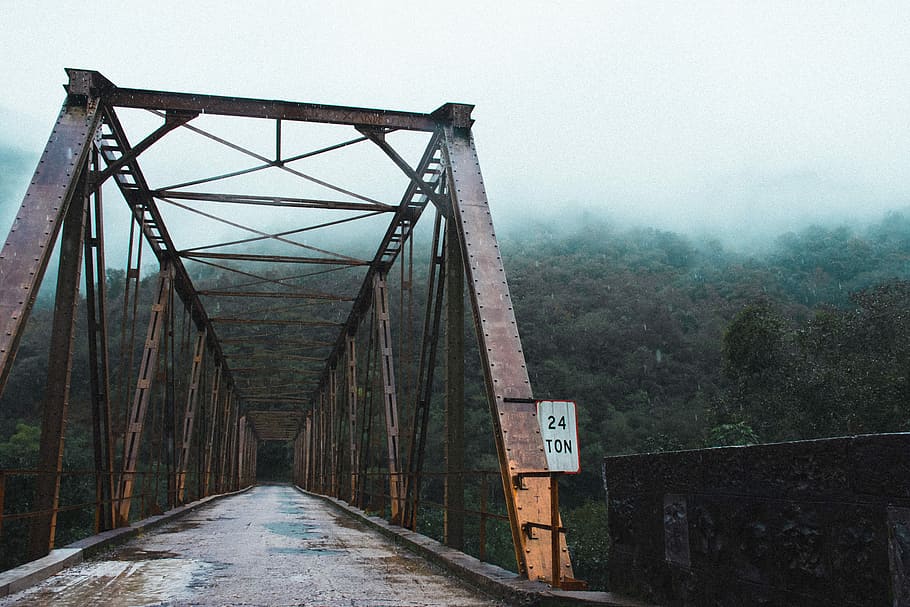high bridge near green forest covered with fog, empty bridge through forest tunnel HD wallpaper