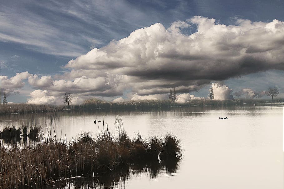 lake, clouds, water, landscape, nature, trees, reflection, cloud - Sky HD wallpaper