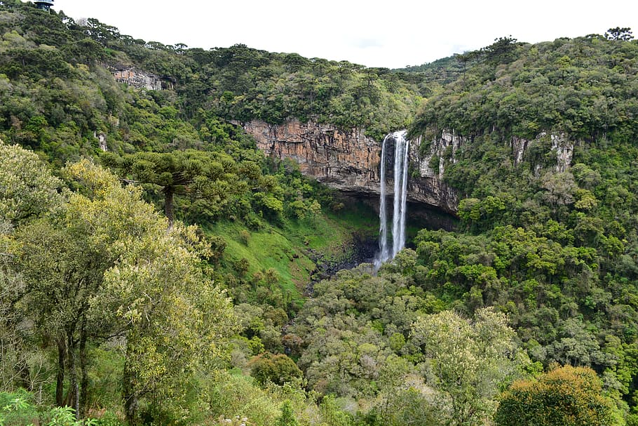 Waterfall, Cascade, Environment, Nature, brazil, snail waterfall HD wallpaper