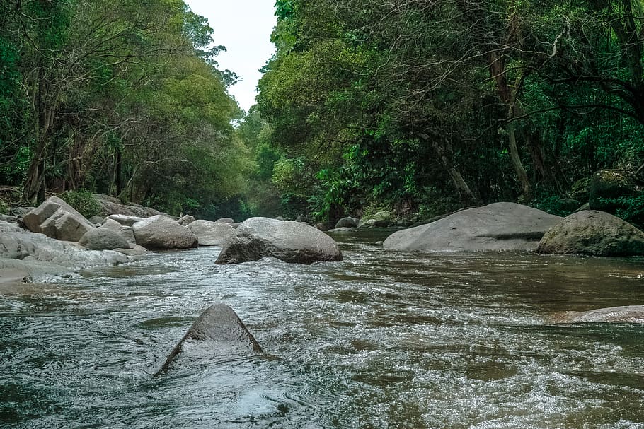 landscape, nature, water, rocks, environment, flow, forest, moss HD wallpaper
