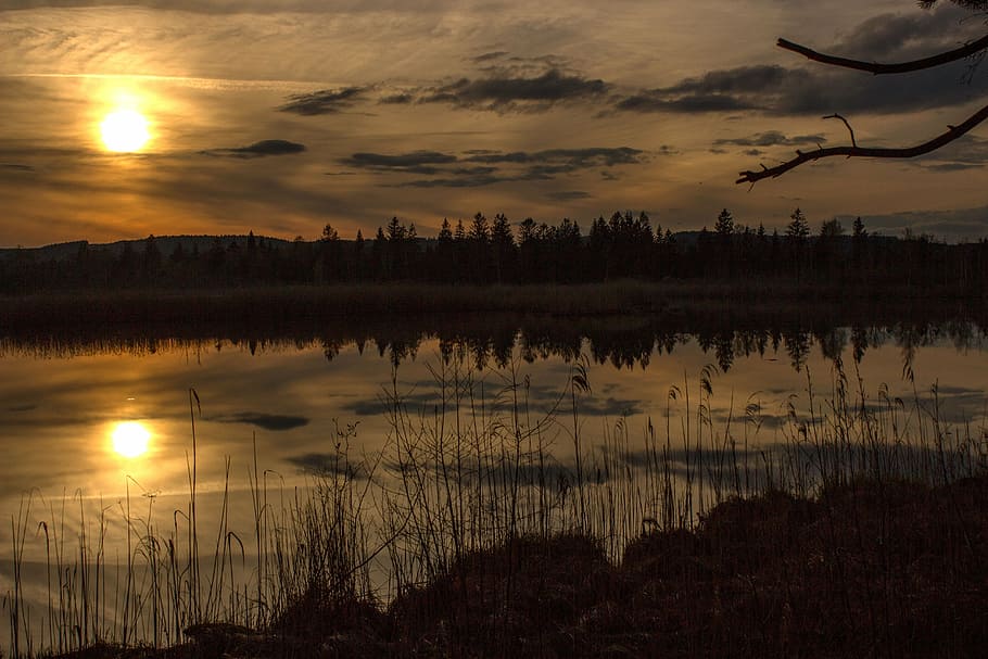 sun over pine forest near a lake, moor, sunset, torfsee, landscape HD wallpaper