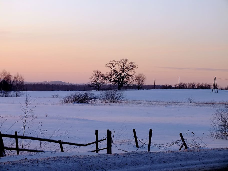 Sunset, Winter, Country, Snow, december, nature, landscape HD wallpaper