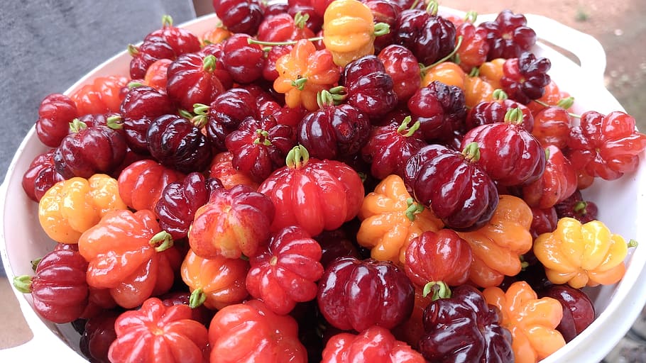 cherry, fruit, red, colors, food, food and drink, healthy eating HD wallpaper