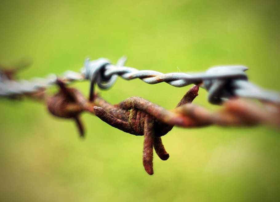 barbed wire, close, wiring, limit, demarcation, fence, pointed HD wallpaper