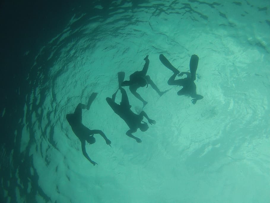 water, diving, summer, marine, nature, adventure, ocean, fish HD wallpaper
