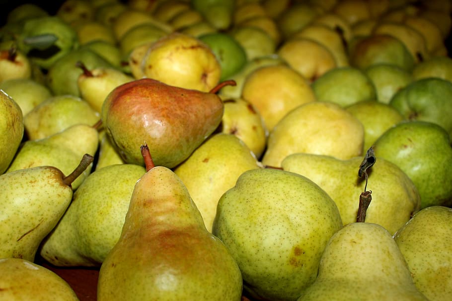 pears, spring, summer, green, fruit, fresh, abundance, season HD wallpaper
