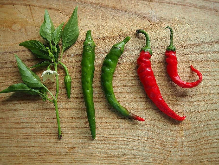 untitled, chili, paprika, sharp, spice, pepperoni, red, vegetables, HD wallpaper