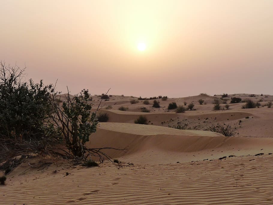 desert, sunset, heat, lighting, sky, scenics - nature, tranquility HD wallpaper