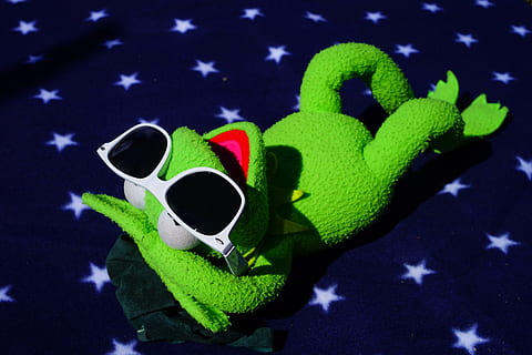 kermit, frog, sun, sunglasses, fun, soft toy, stuffed animal HD wallpaper