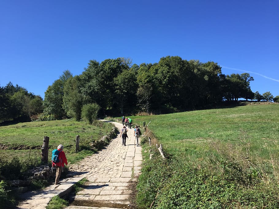 man walking on concrete path under blue sky during daytime HD wallpaper